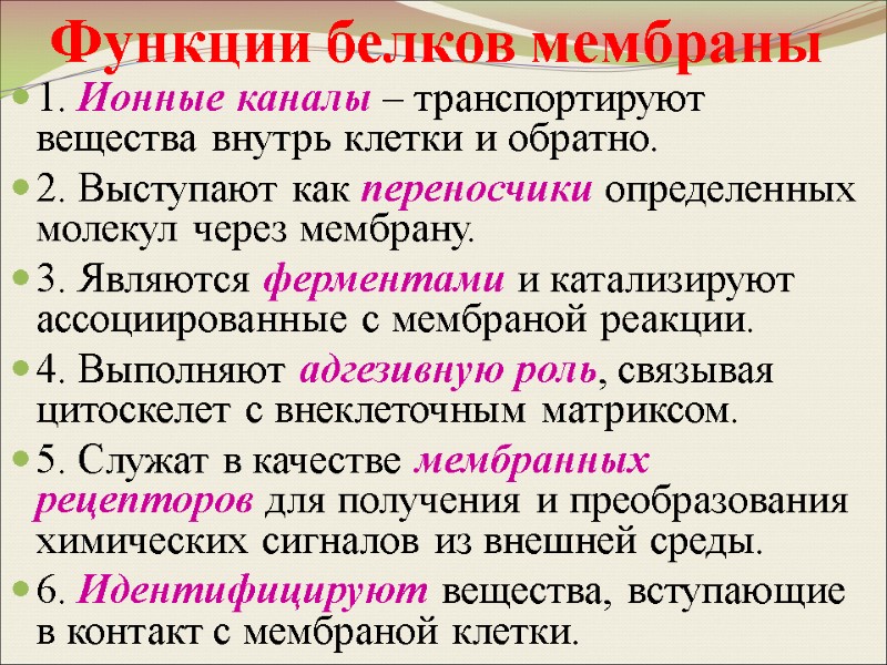 Функции белков мембраны 1. Ионные каналы – транспортируют вещества внутрь клетки и обратно. 2.